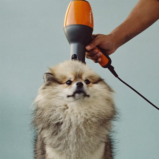 A coat being blow-dried